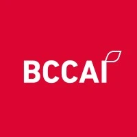 BCCAI Digital Marketing