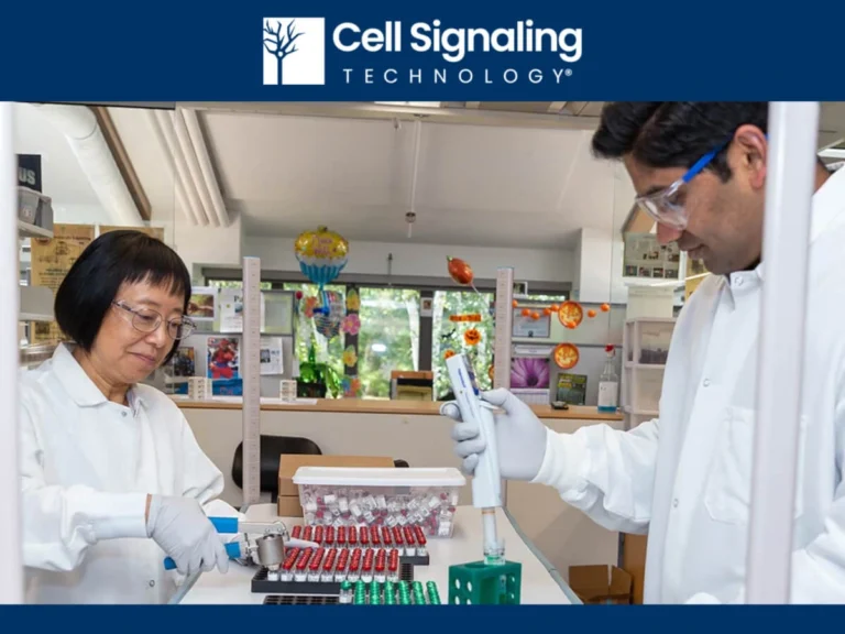 cell signaling technology