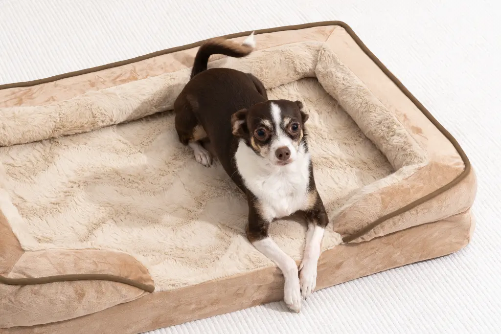 dog crate pads